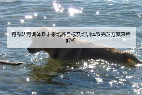 青岛队青训体系未来培养目标及培训体系完善方案深度解析