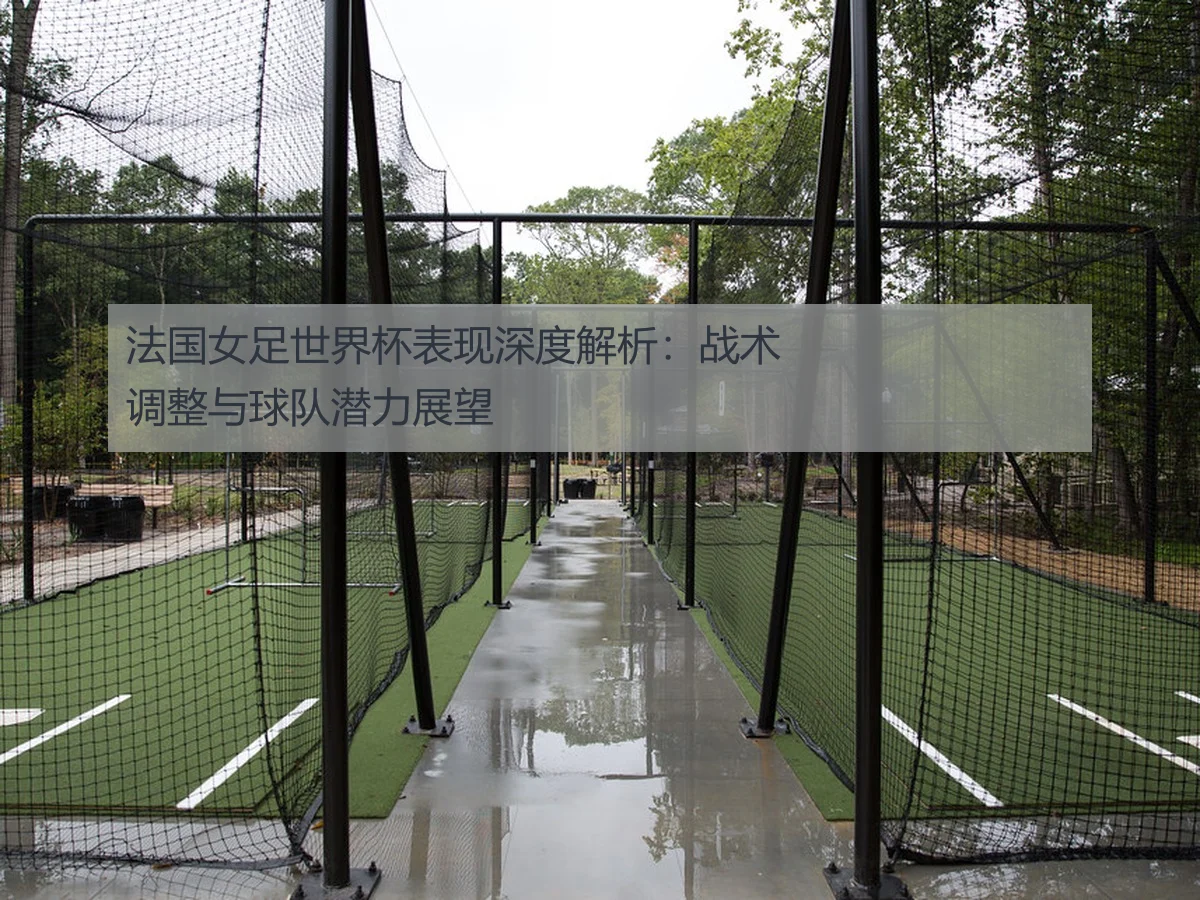 法国女足世界杯表现深度解析:战术调整与球队潜力展望